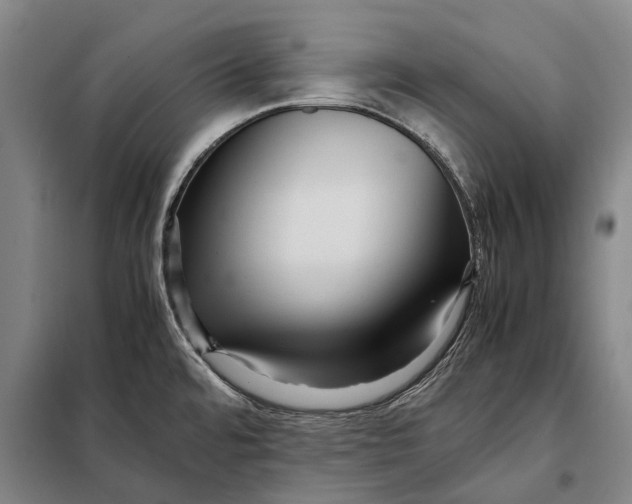 X0000097921480200804041512