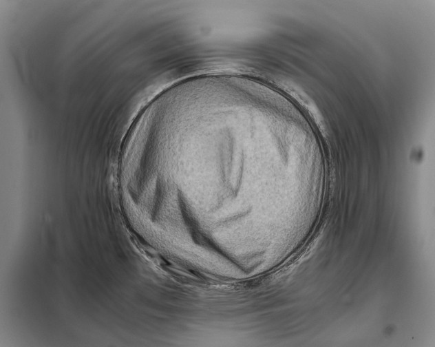 X0000097921481200804041512