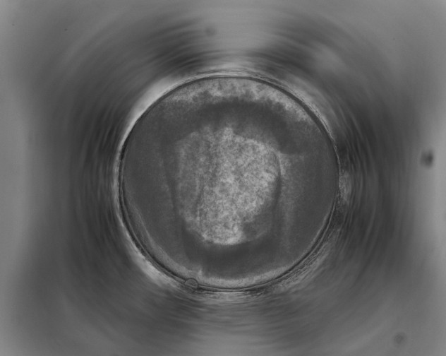 X0000097921482200804041512