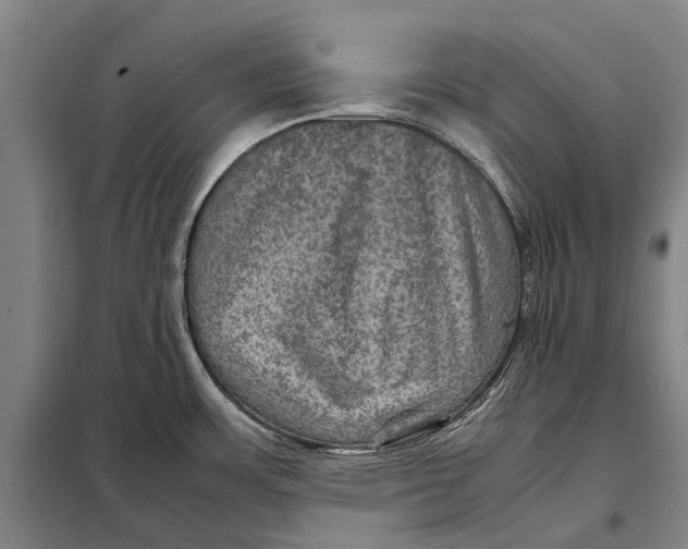 X0000097921483200804041512