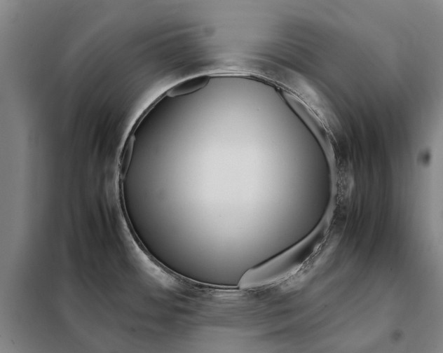 X0000097921484200804041512