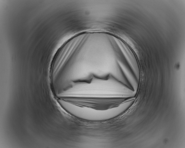 X0000097921485200804041512