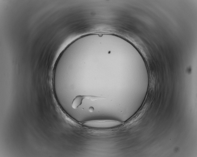 X0000097921486200804041512