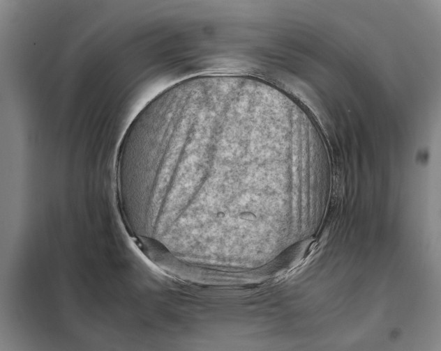 X0000097921487200804041512