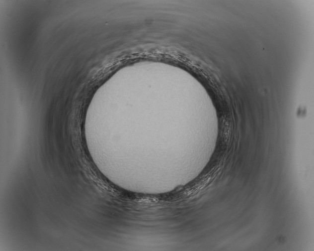 X0000097921489200804041512