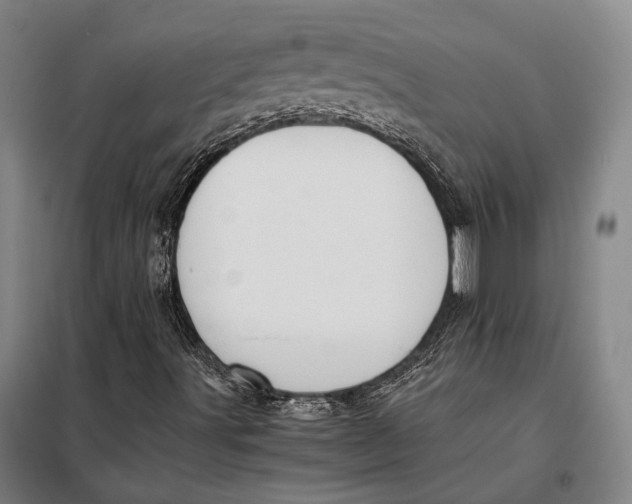 X0000097921491200804041512