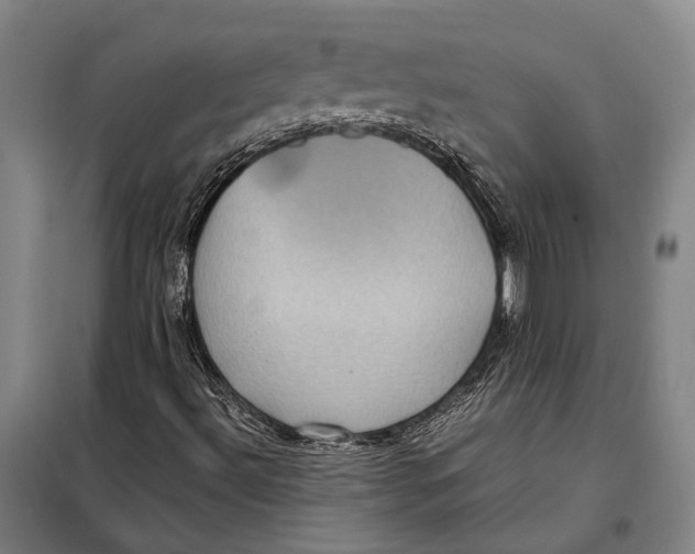 X0000097921492200804041512