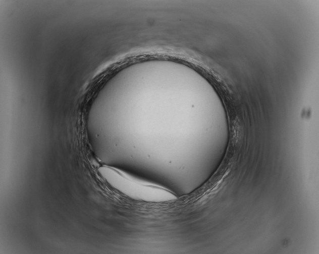 X0000097921494200804041512