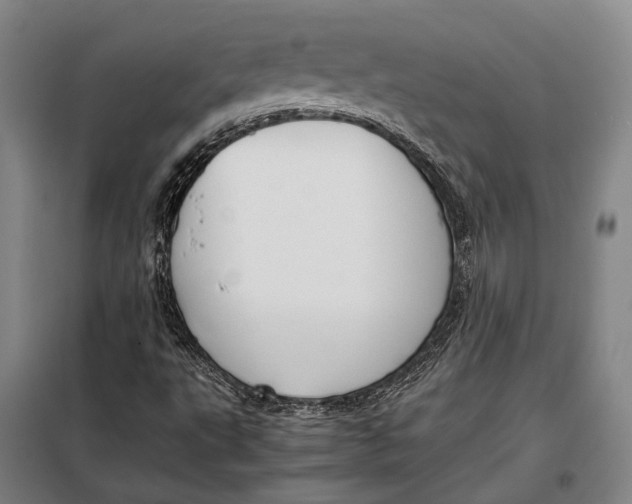 X0000097921495200804041512