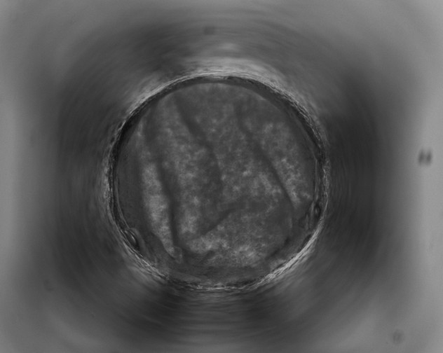 X0000097921497200804041512