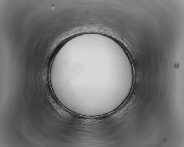 X0000097921499200804041512