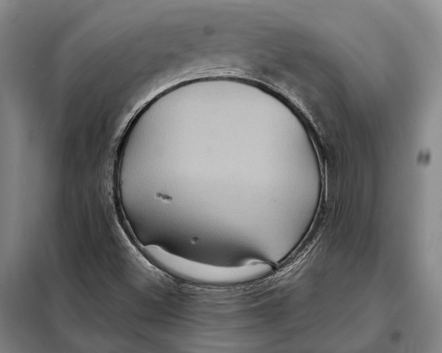 X0000097921500200804041512