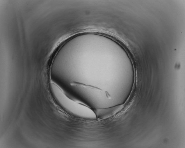 X0000097921501200804041512