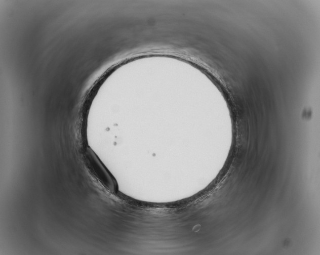 X0000097921502200804041512