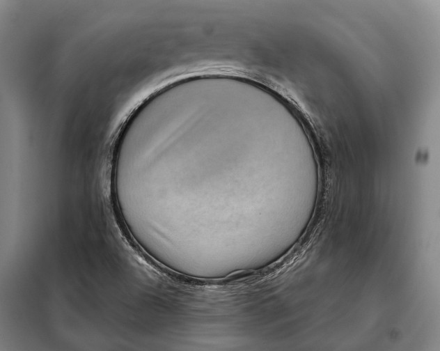 X0000097921504200804041512