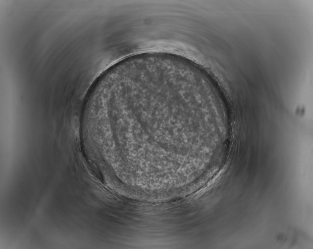 X0000097921505200804041512