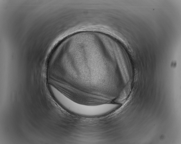 X0000097921506200804041512