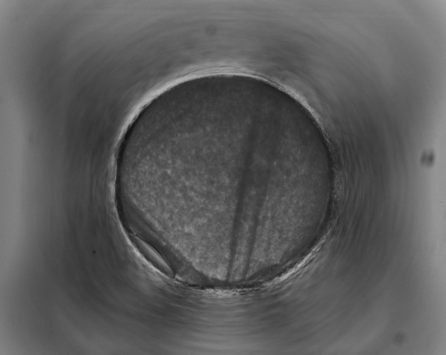 X0000097921508200804041512