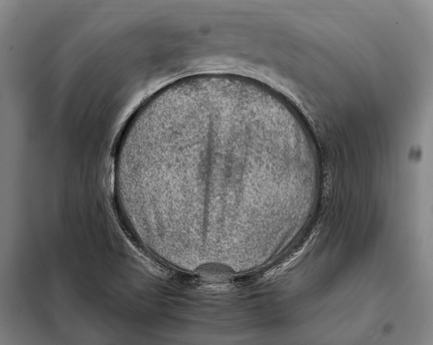 X0000097921509200804041512