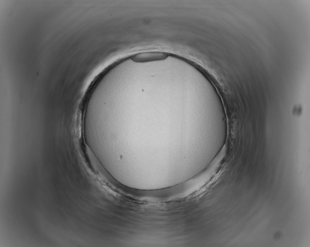 X0000097921510200804041512