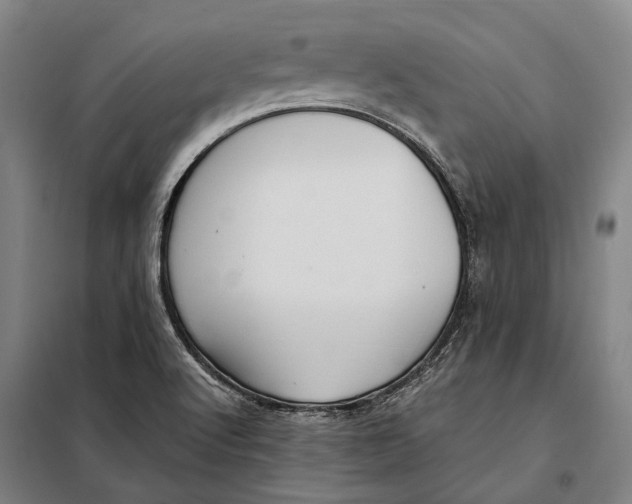 X0000097921512200804041512