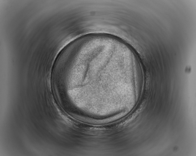 X0000097921513200804041512