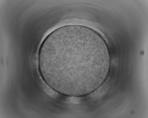 X0000097921514200804041512