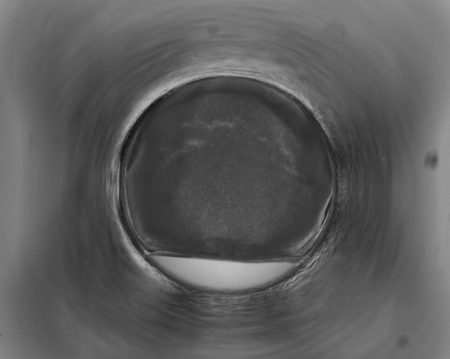 X0000097921515200804041512