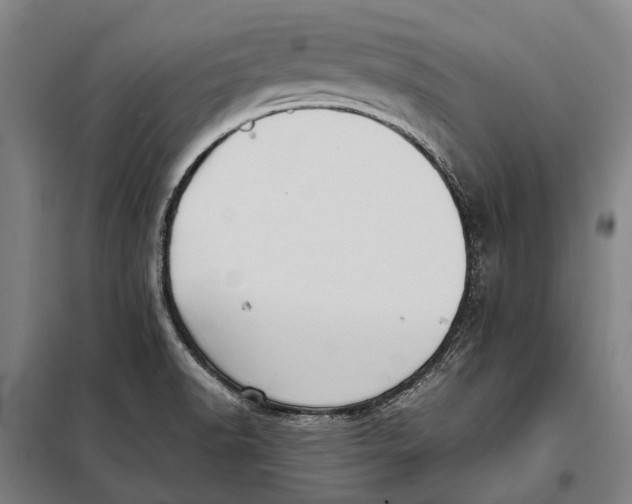 X0000097921518200804041512