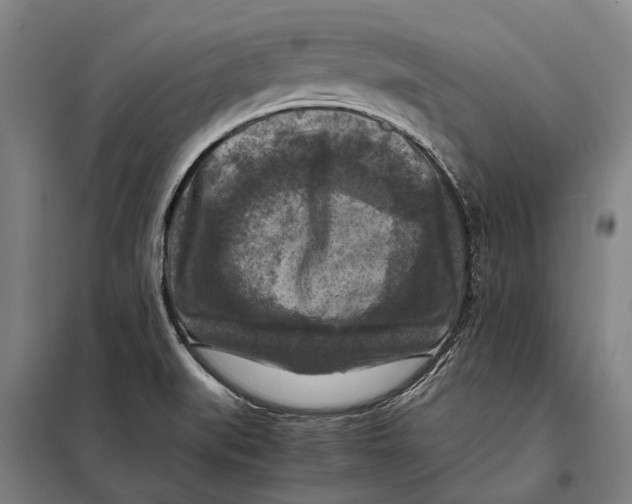 X0000097921519200804041512