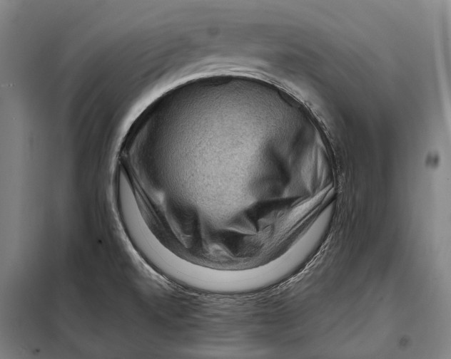 X0000097921520200804041512