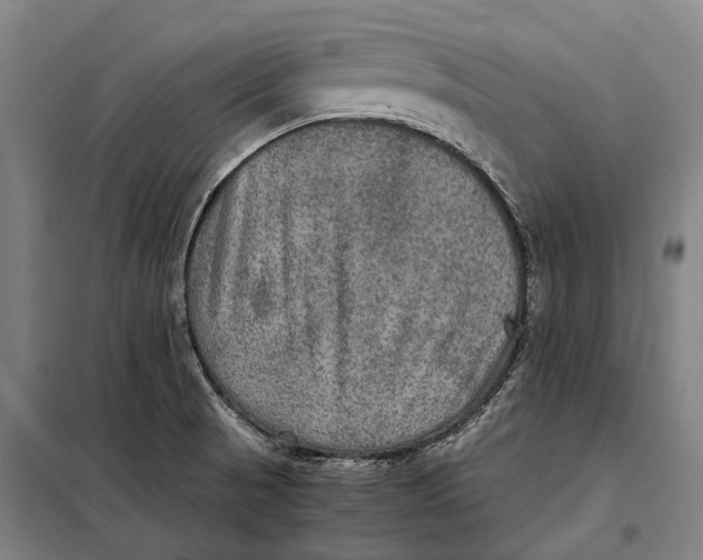 X0000097921521200804041512