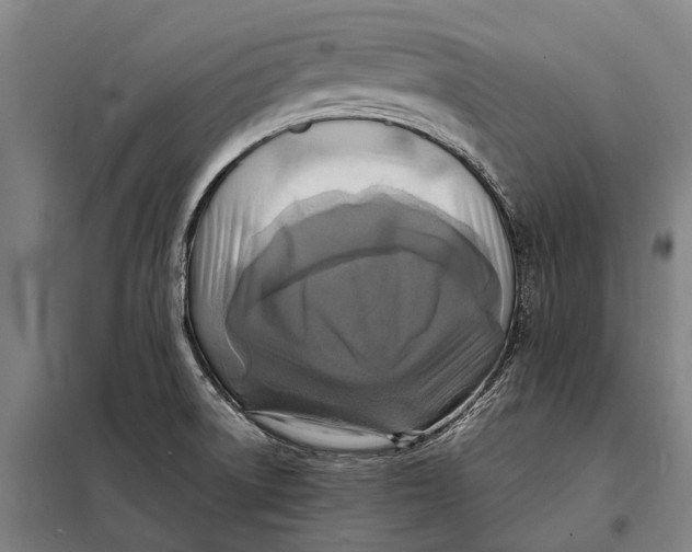 X0000097921522200804041512