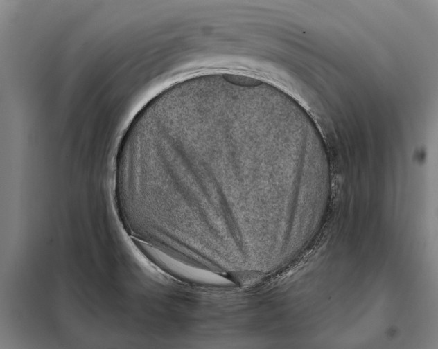 X0000097921523200804041512