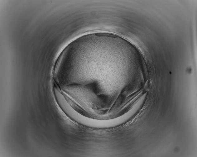 X0000097921524200804041512