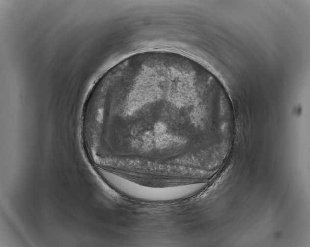 X0000097921525200804041512