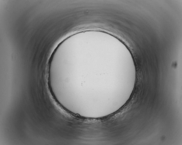 X0000097921526200804041512