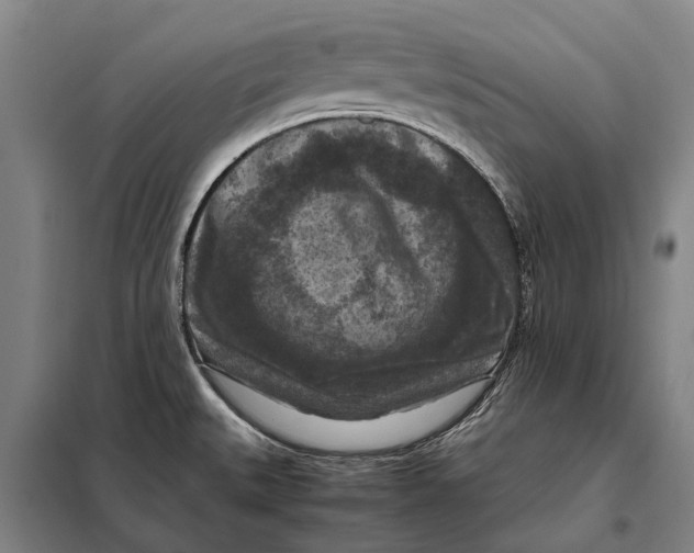 X0000097921527200804041512