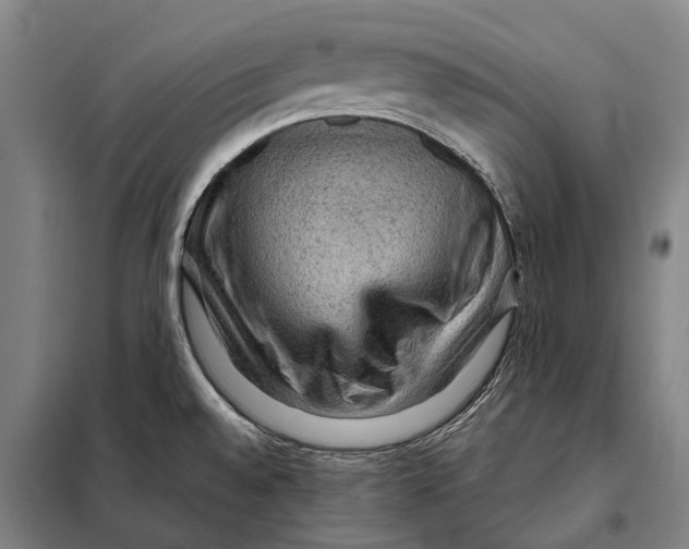 X0000097921528200804041512