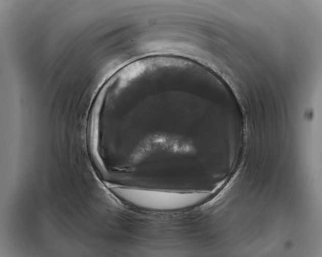 X0000097921529200804041512