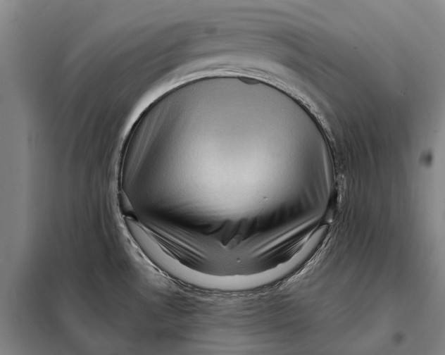 X0000097921530200804041512