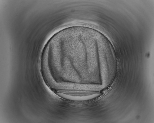 X0000097921531200804041512