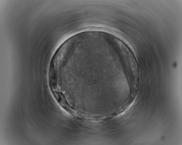 X0000097921533200804041512