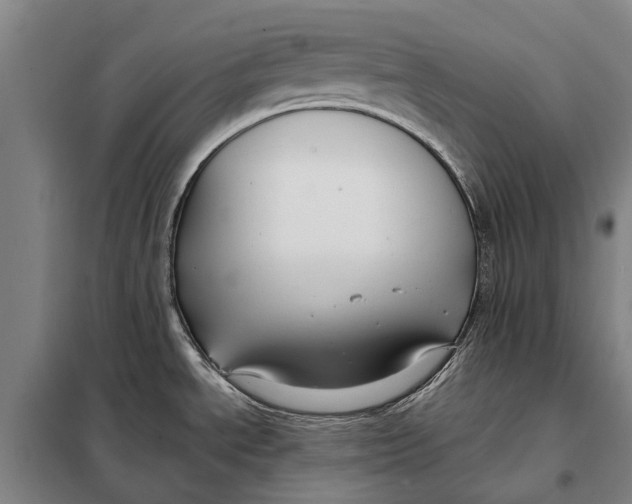 X0000097921534200804041512