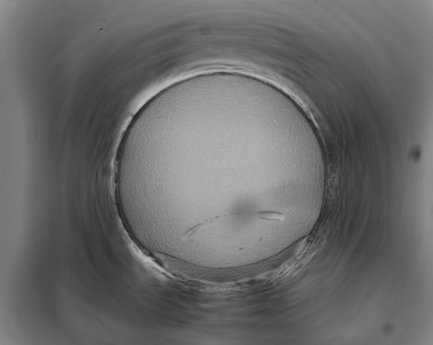 X0000097921535200804041512