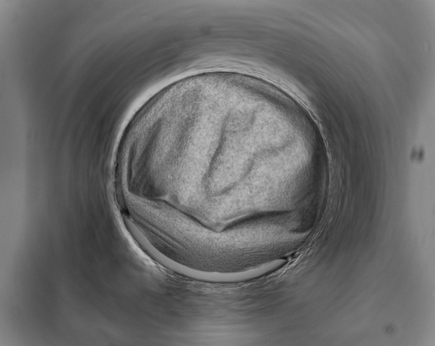 X0000097921536200804041512