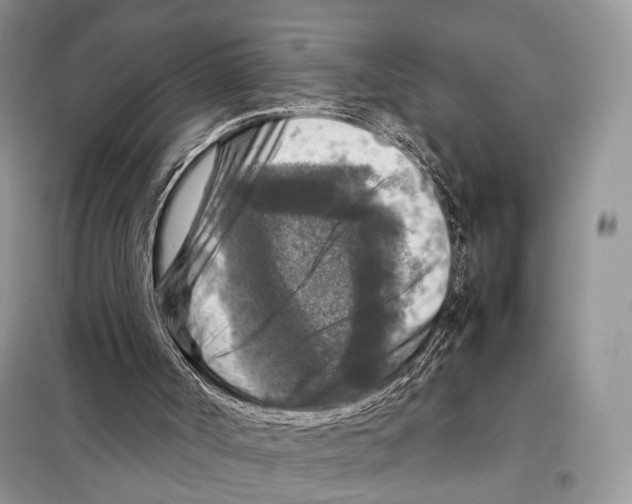 X0000097920002200804111152