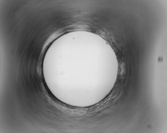 X0000097920004200804111152