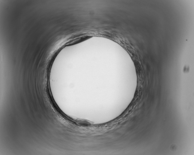 X0000097920005200804111152