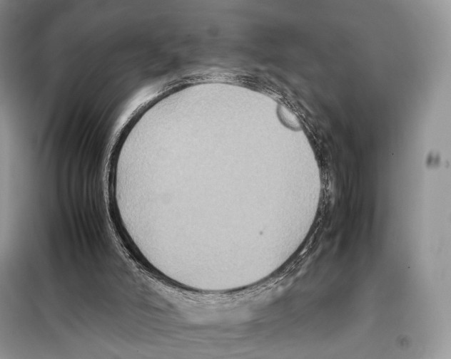 X0000097920006200804111152